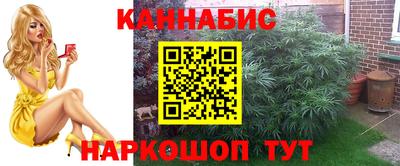 МДПВ Апрелевка